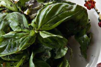 Basil Uncovered: The Aromatic Herb’s Secrets and Uses