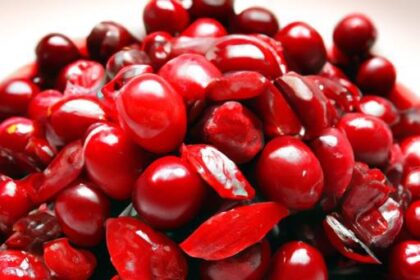 Quick & Tangy: How to Make Pressure Cooker Cranberry Sauce